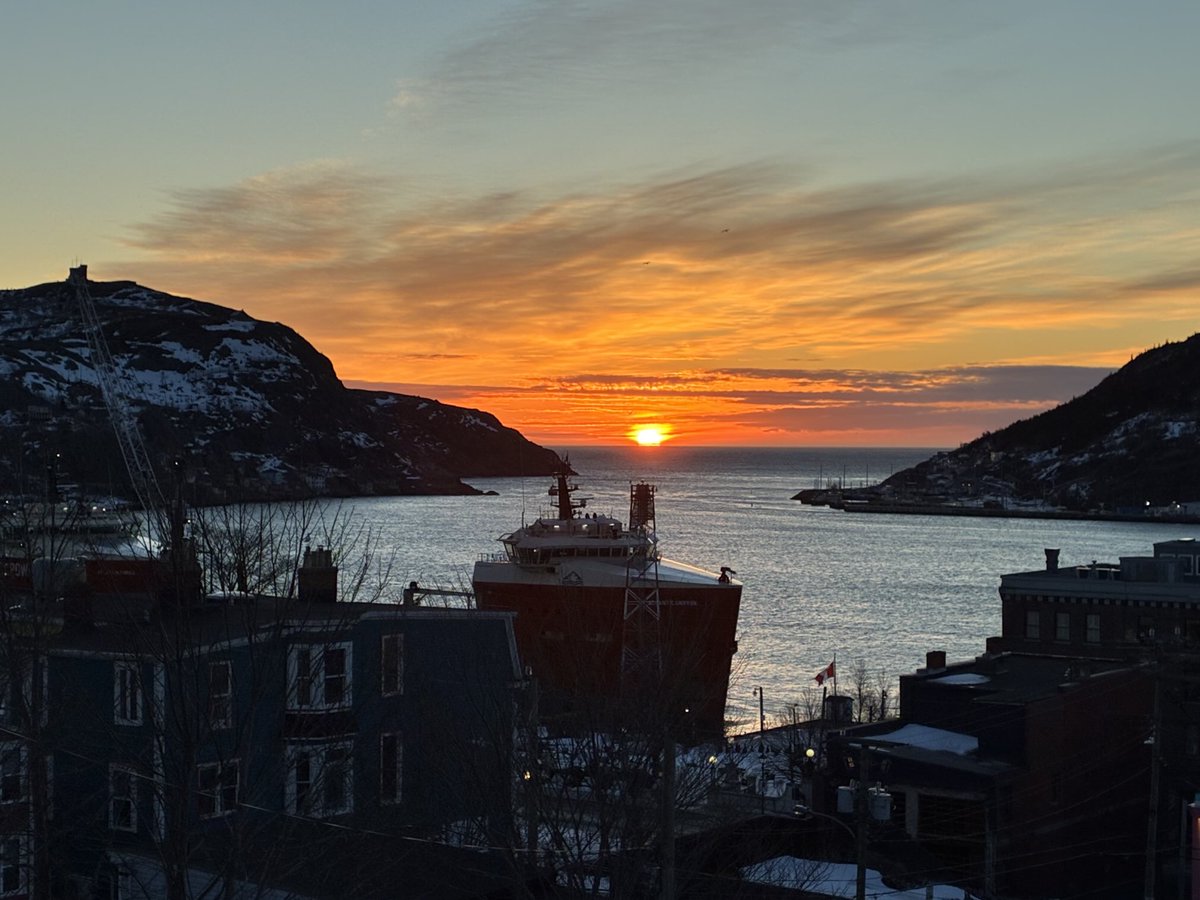 Francesca Swann tweet media