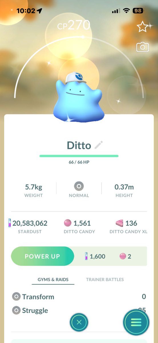 gratfikson's tweet photo. Event just started here in UK and got my shiny costume Ditto #PokémonPokopia #pokemongo https://t.co/scuWNms4l0