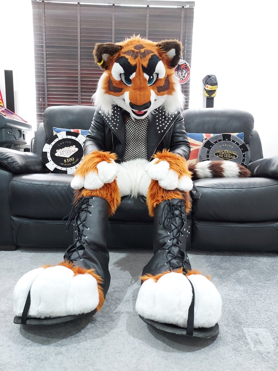 Sneaky Paws Sneakers tweet media