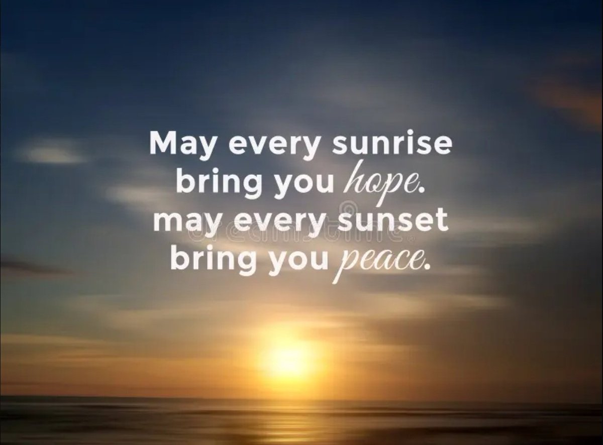 Mr. Optimistic tweet media