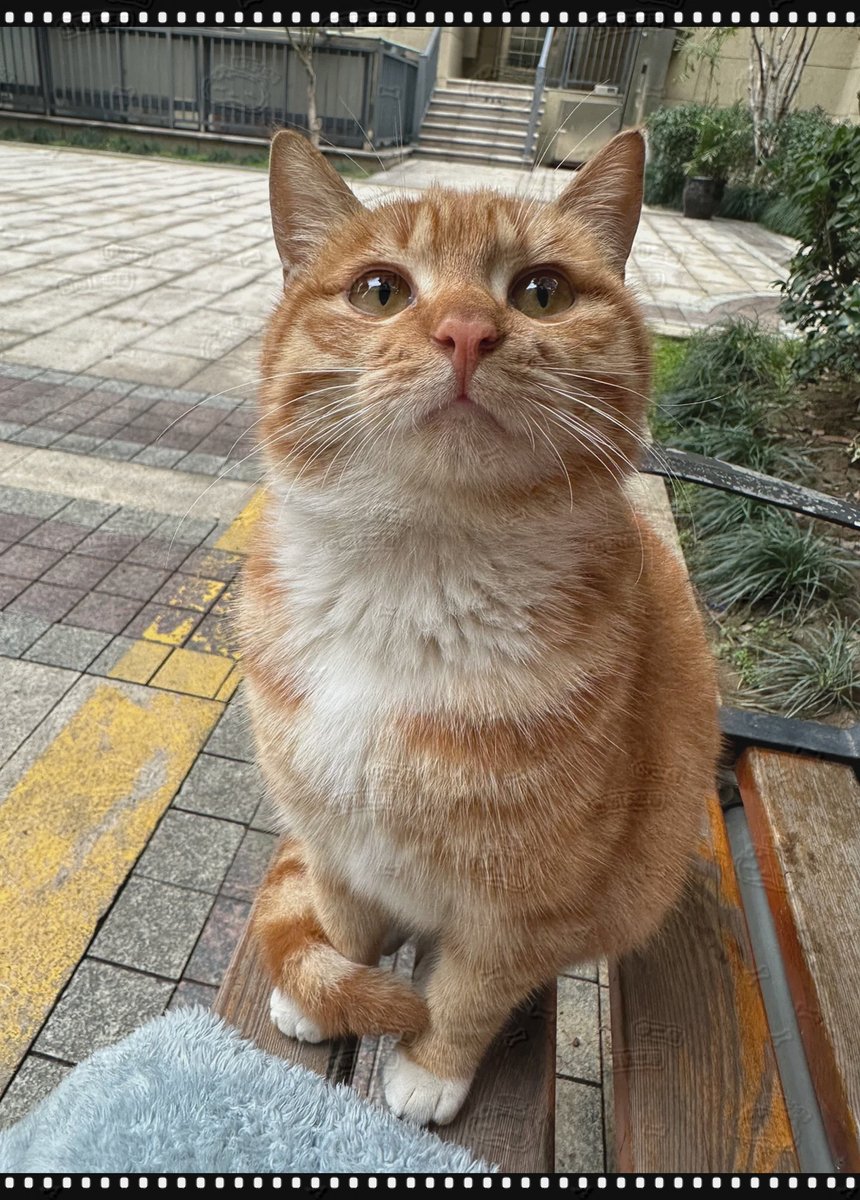 CLIFF FULLBROOK tweet media