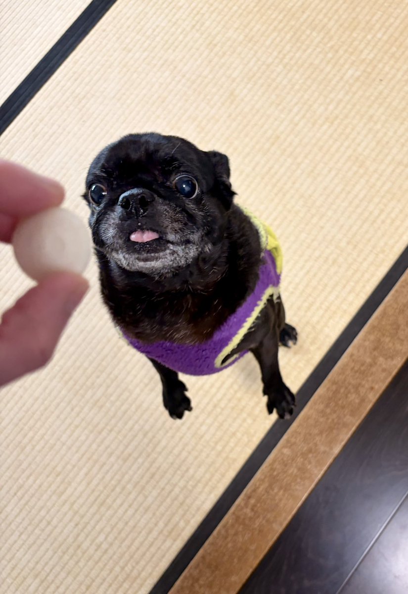 ツナ缶 tweet media