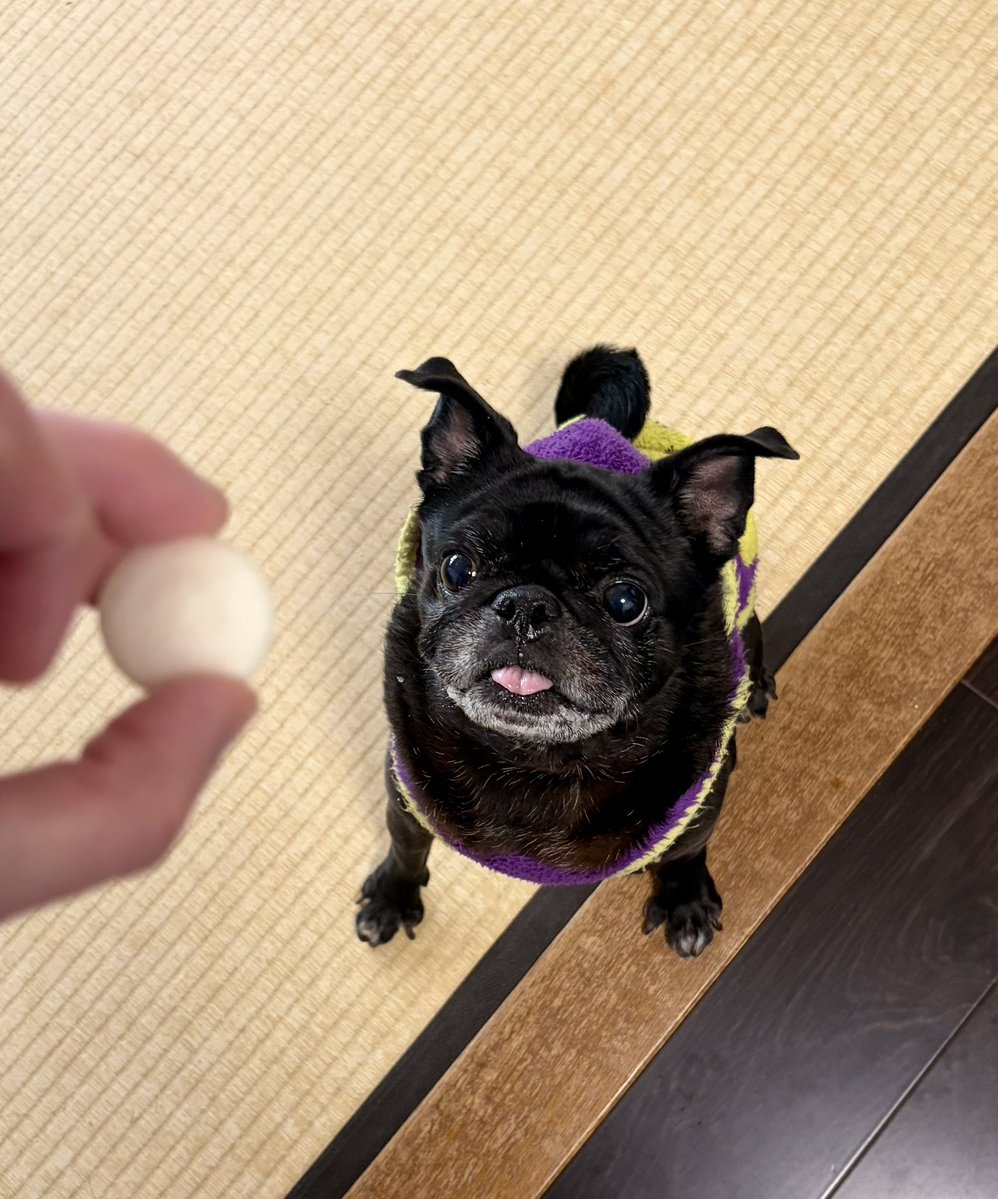 ツナ缶 tweet media