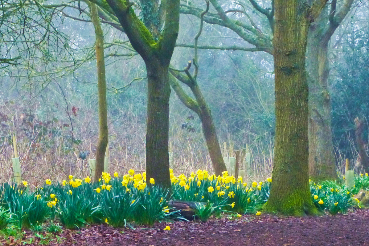 Peace the 📸 = Crisp the🖋 tweet media