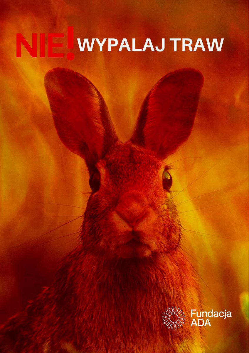 Fundacja ADA tweet media