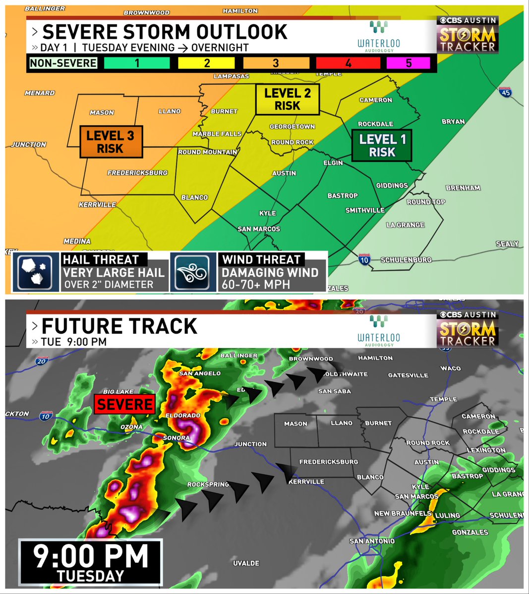 Avery Tomasco tweet media