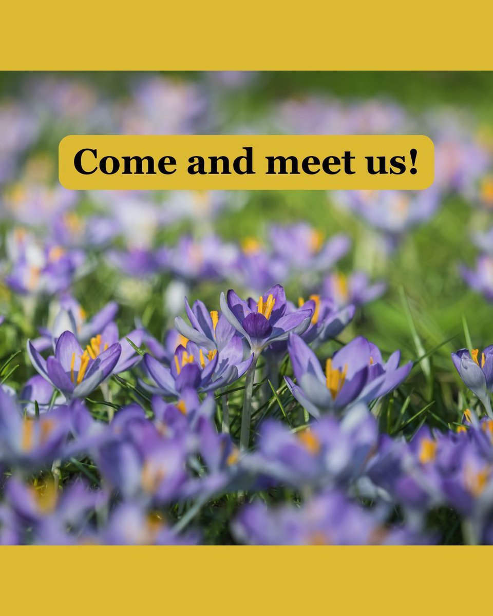 All Kinds of Catholic tweet media