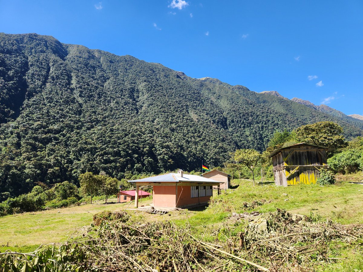 Fundación MUSOL tweet media