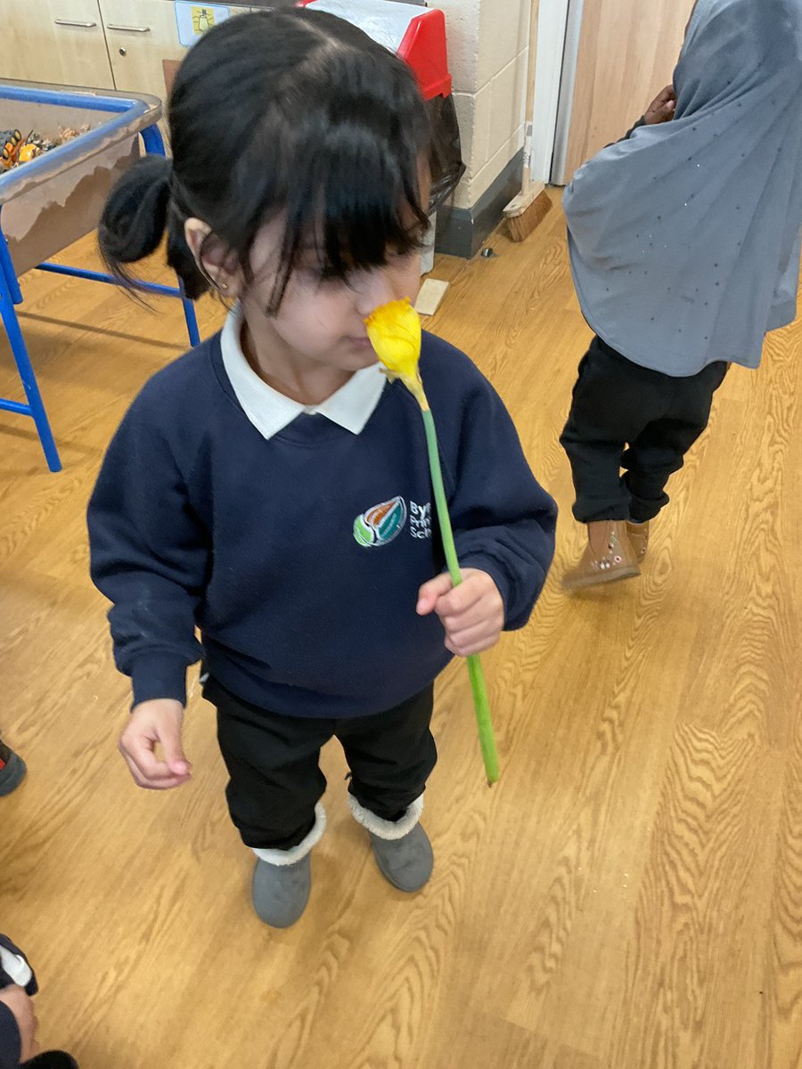 Byron Primary School tweet media