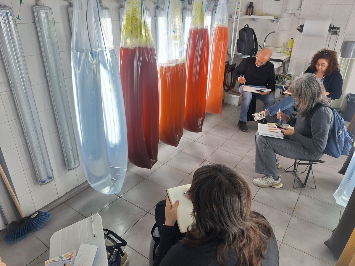 Instituto de Investigacións Mariñas - CSIC tweet media