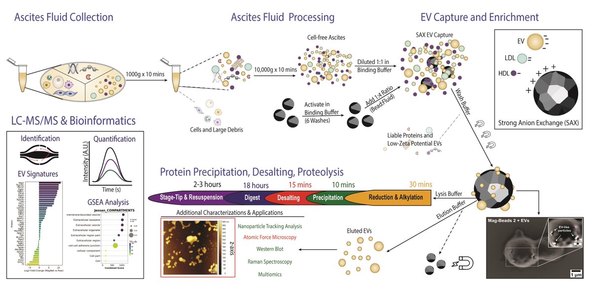 ReSyn Biosciences tweet media
