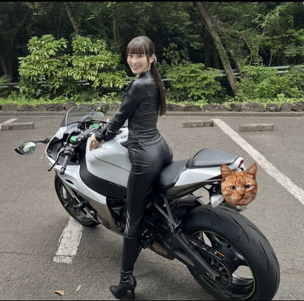 名前 : 三浦 春 性別 : 🤫 車種 : ZX10R 住み : 関東 身長 : 159 好き