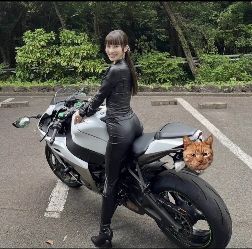 バイクに乗る人① 三浦 春(みうらはる)@ZX-10R on X: 