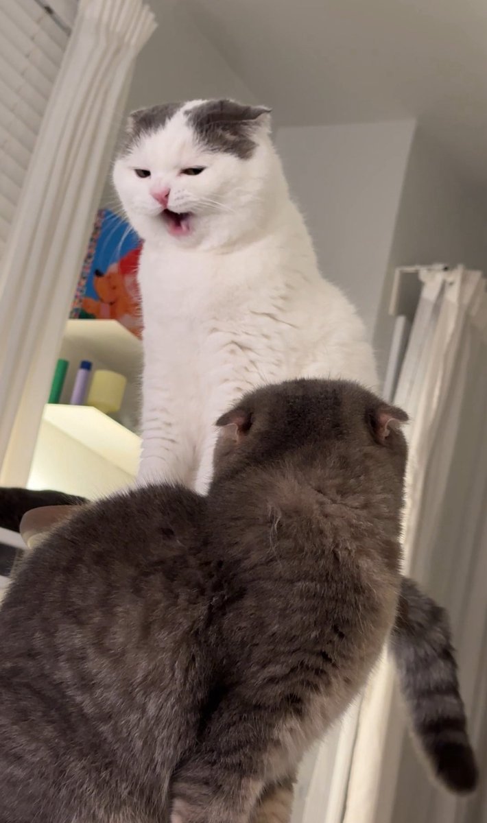 <a href="/cinamon_dean/">🌙dean</a> แต่บอสคิ้วแหว่งไปข้างงงง