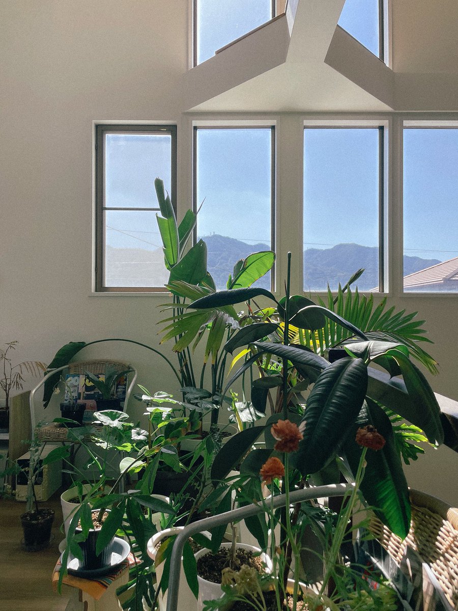 ヤスナガコウユウ tweet media