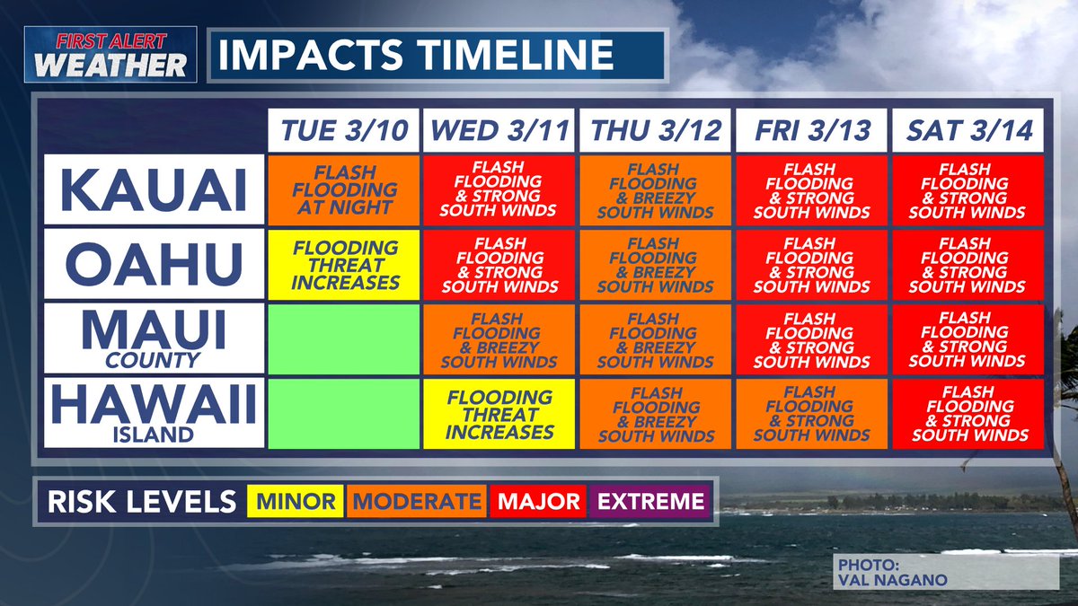 Haricot Vert tweet media