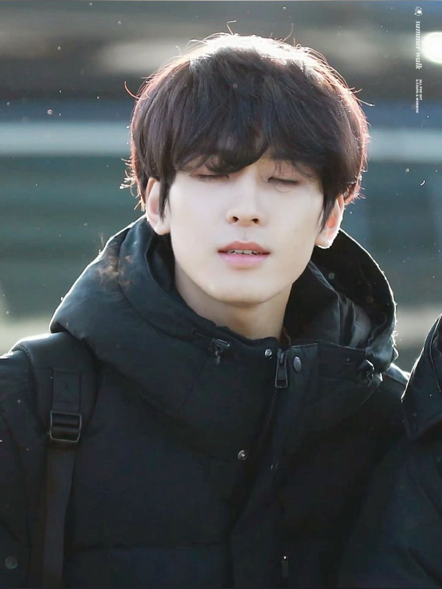 안경냥이 tweet media