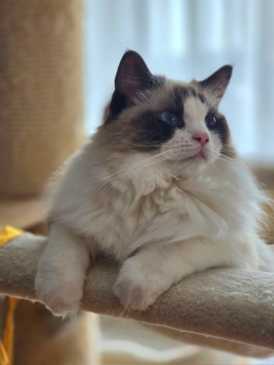 Ja, ni vse politika 😺