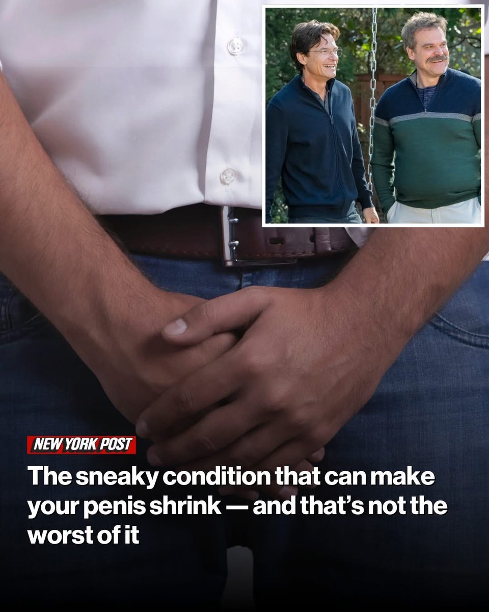 Sebastian Mattsson tweet media