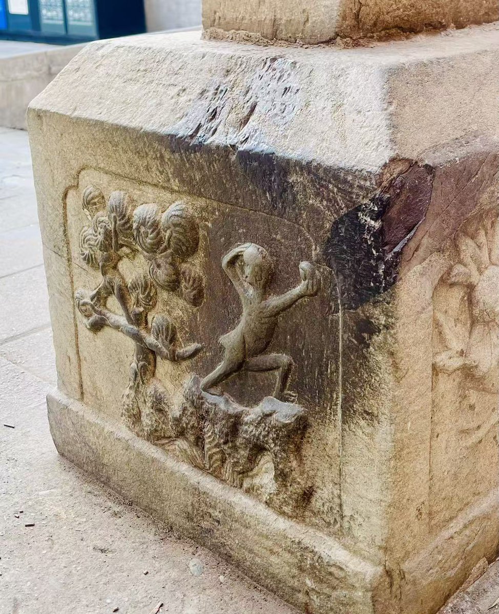 湖畔竞走🏃♂️➡️ tweet media