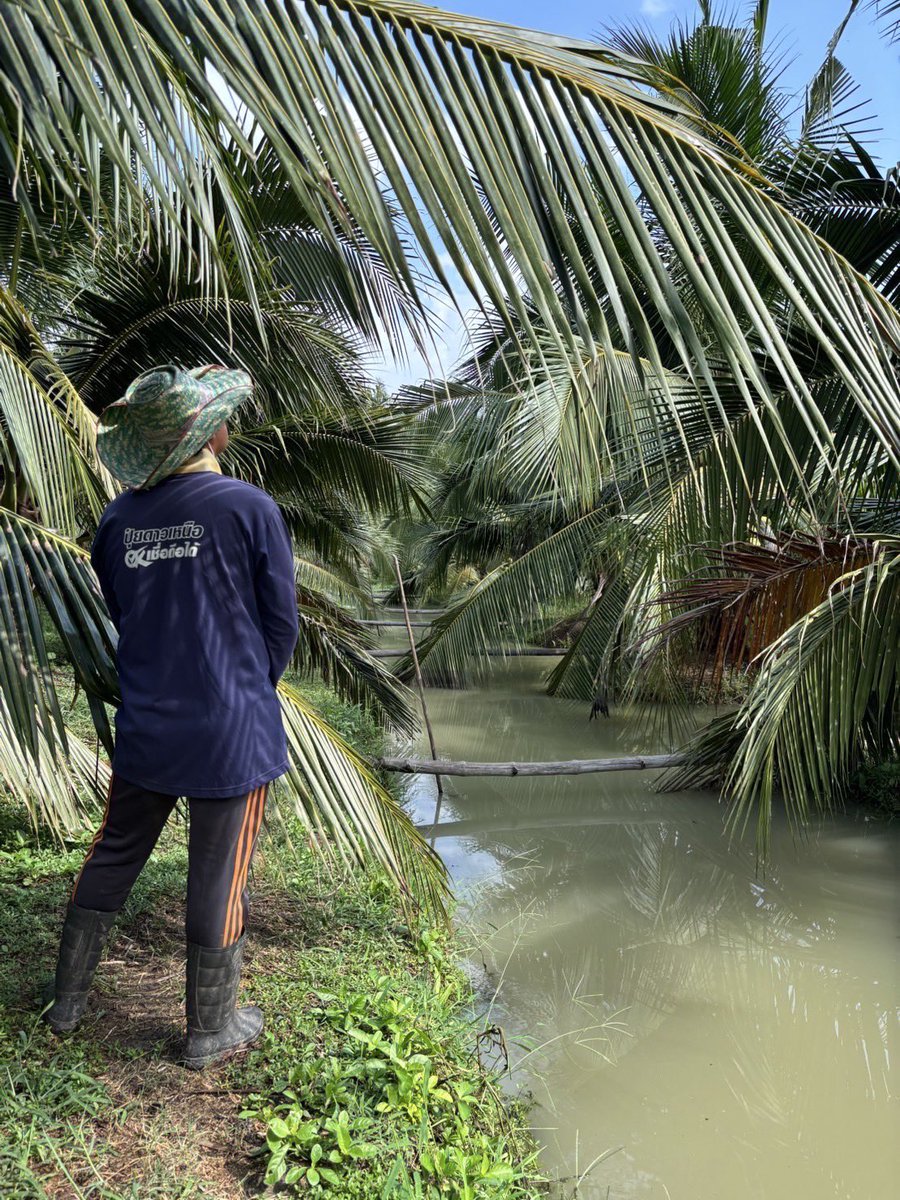 สิทธิพล วิบูลย์ธนากุล (ชาย) tweet media