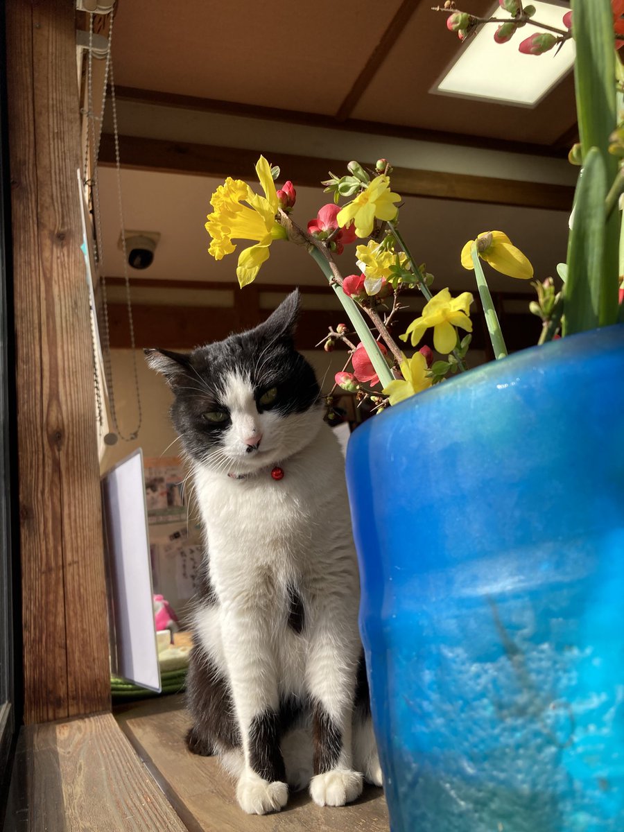 chan😊🐾 tweet media