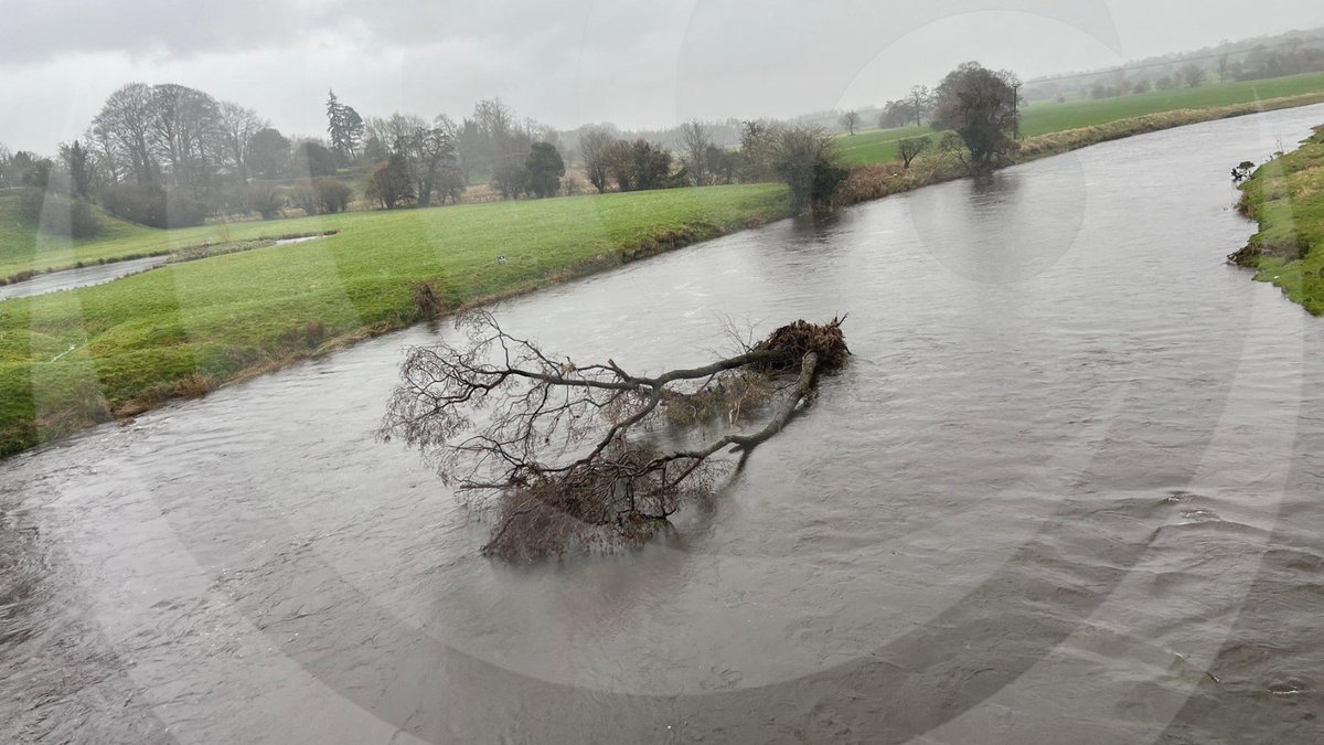 The Flood Hub tweet media