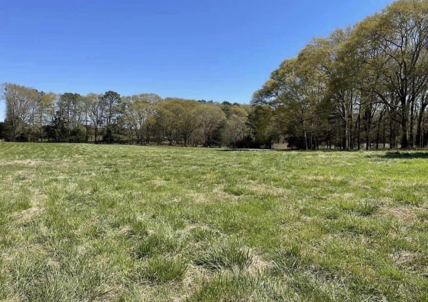 karen says... tweet media