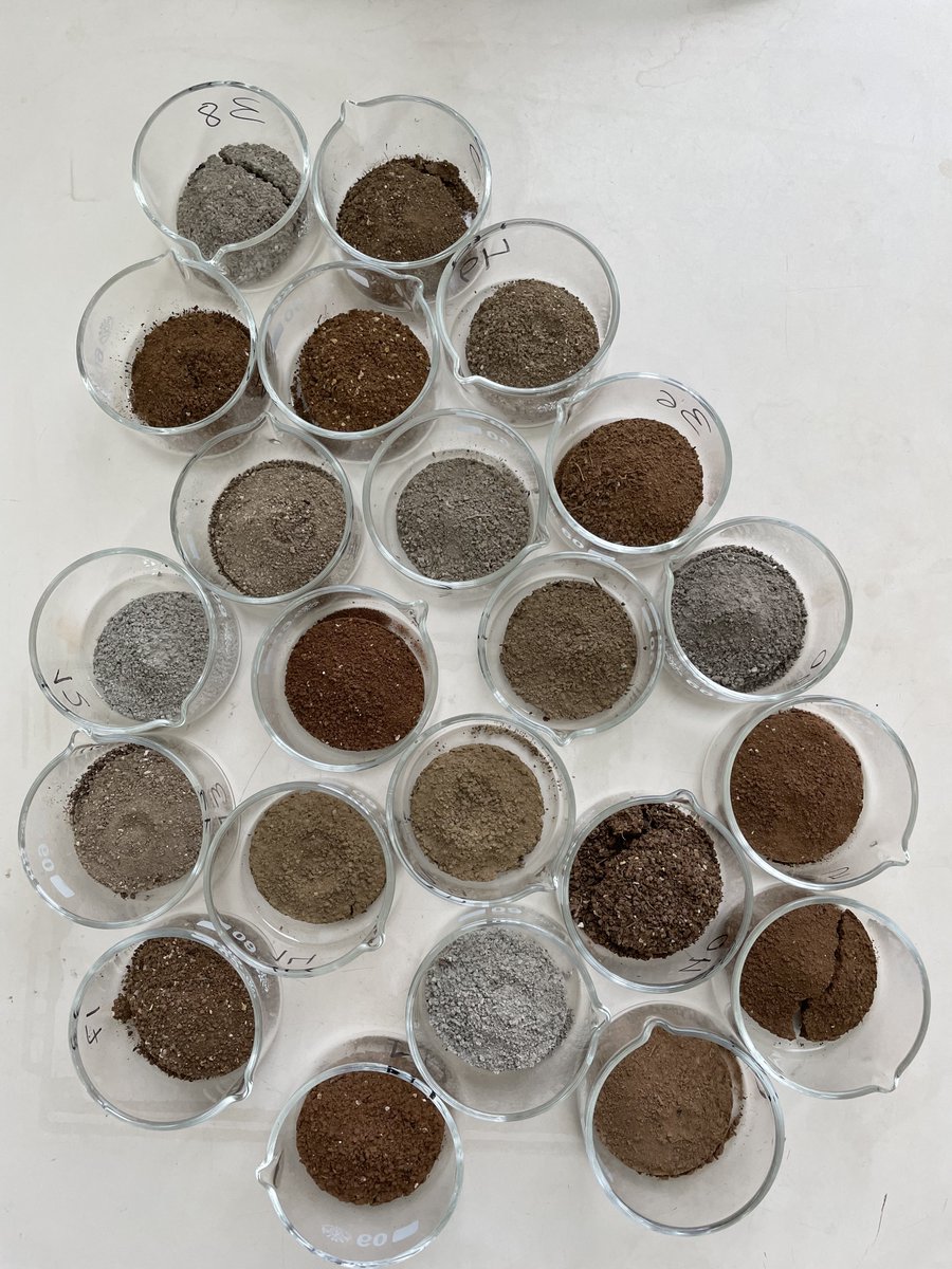 SECS_Spain's tweet photo. 📸 Concurso de Fotografía SECS – Entrega 9

Autor: Jorge Alvaro Fuentes

🌿 Peat soil
🪱 Vida
🎨 Colores
Tres miradas al suelo: materia orgánica, biodiversidad y diversidad de suelos.
#SECS #CienciaDelSuelo #SoilScience #ConcursoFotografíaSECS https://t.co/BcIsFIcnV0