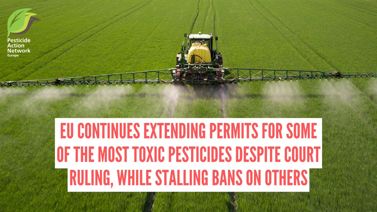 PAN Europe tweet media