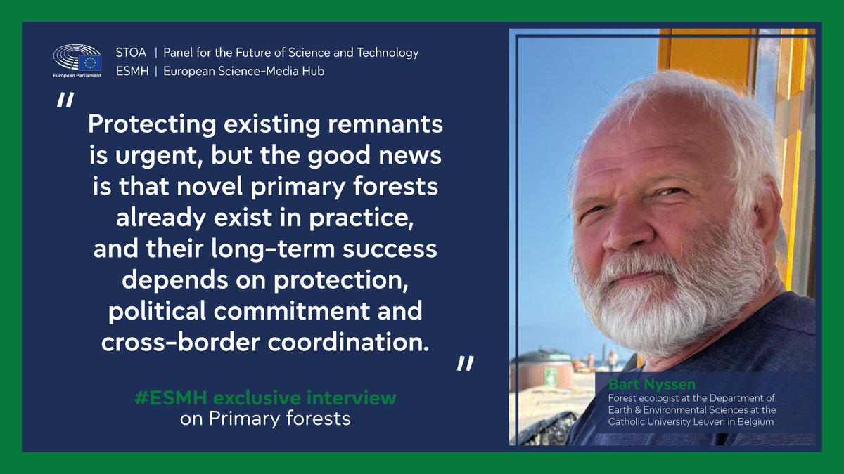 STOA Panel tweet media