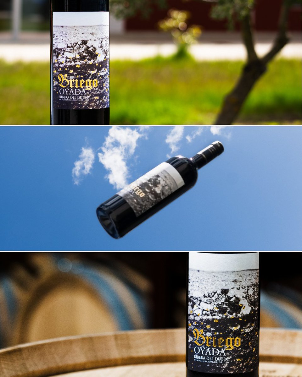 BodegasBriego tweet media