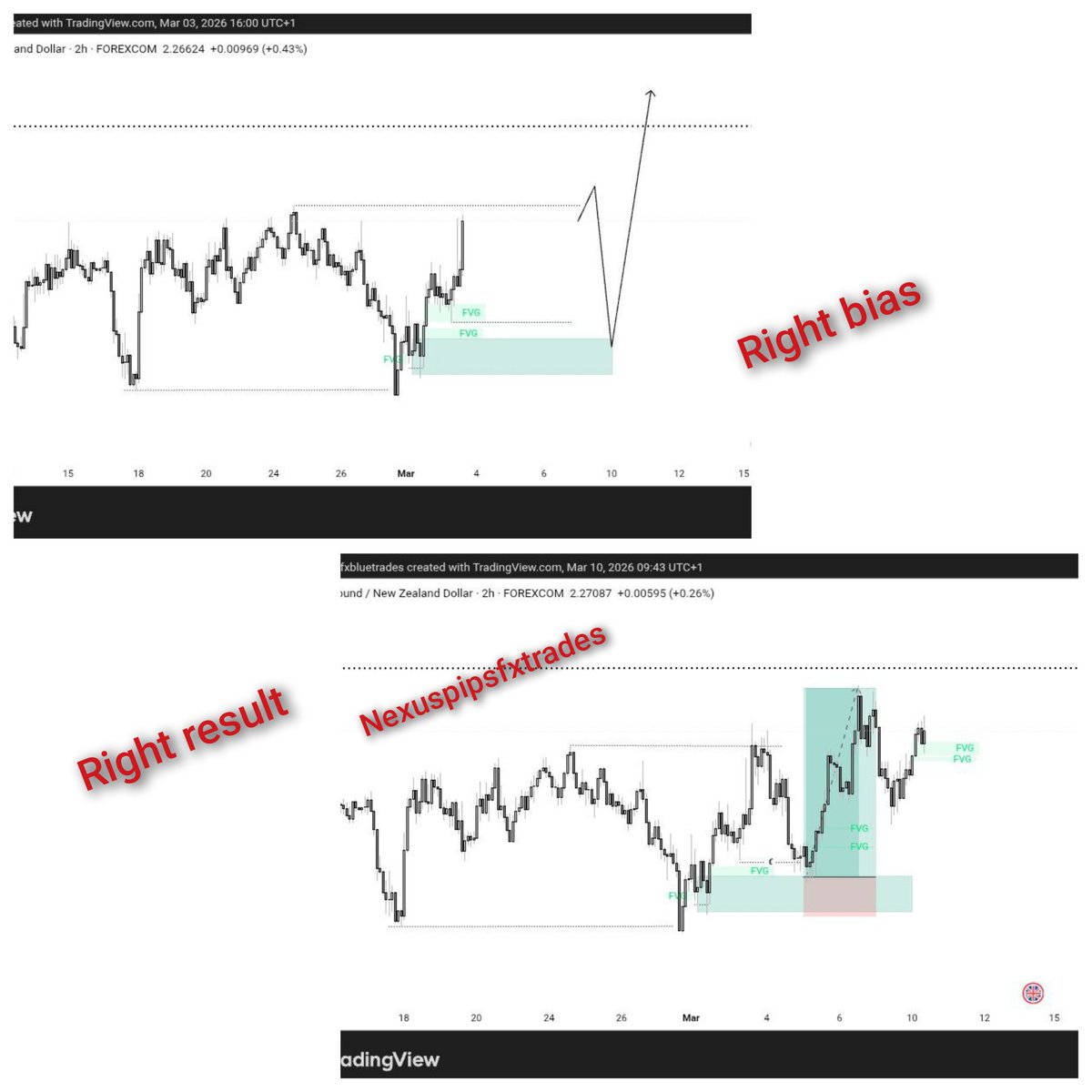 Nexuspipsfx tweet media