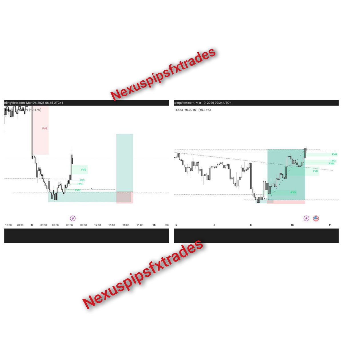 Nexuspipsfx tweet media