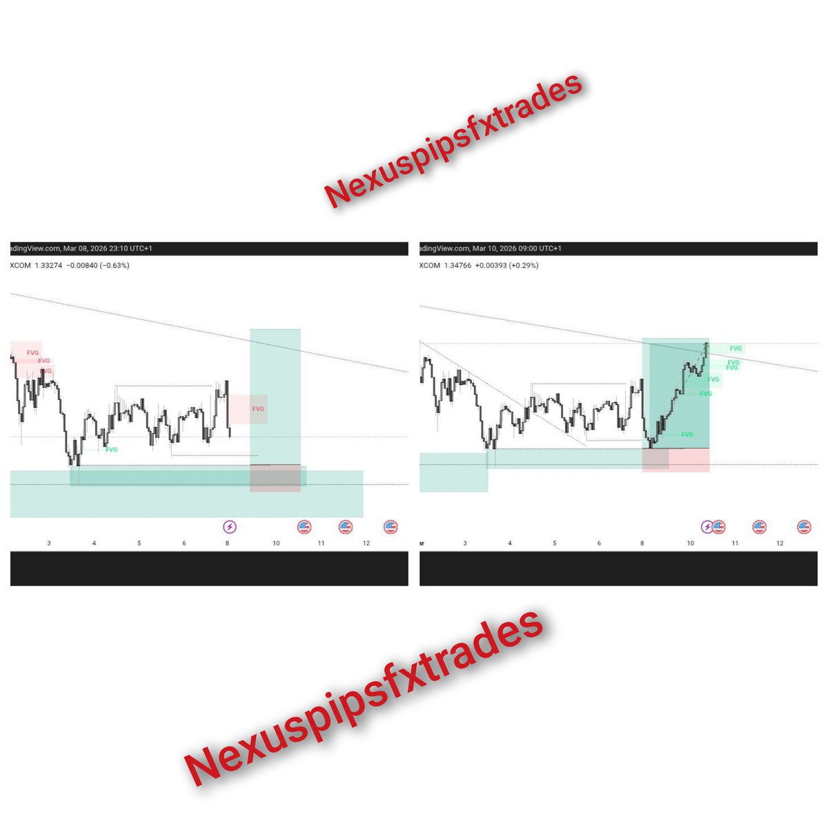 Nexuspipsfx tweet media