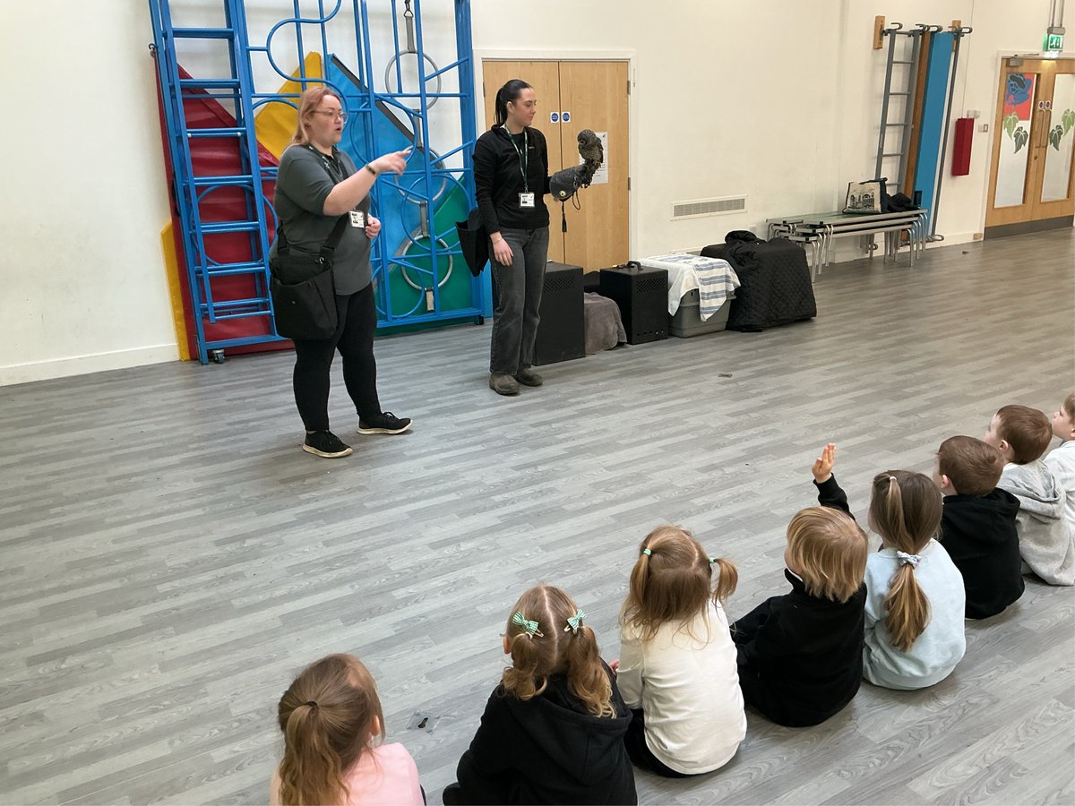 Ivy Bank Primary tweet media