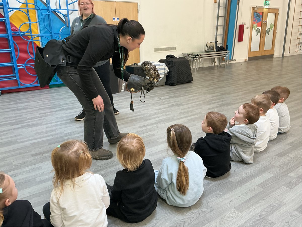 Ivy Bank Primary tweet media