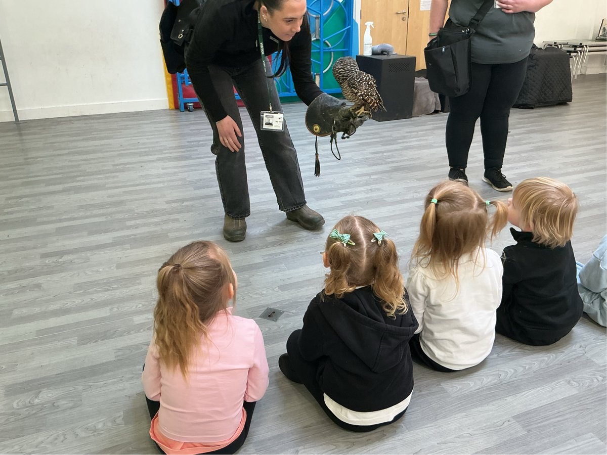 Ivy Bank Primary tweet media