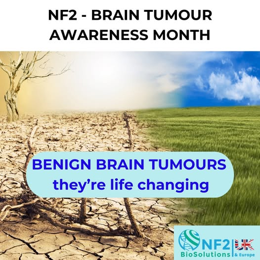 NF2 BioSolutions UK & Europe tweet media