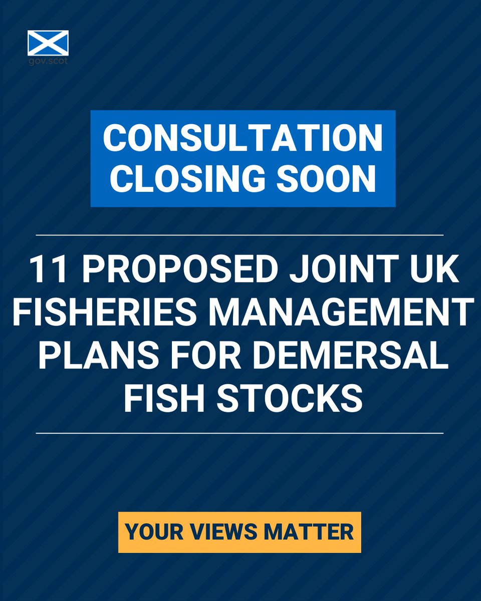 Scot Gov Engagement tweet media