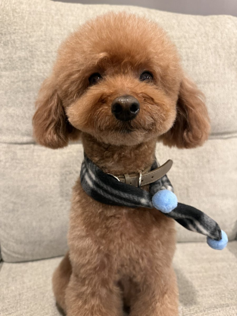 木津谷 泰勇 / KITSUYA TAIYU tweet media