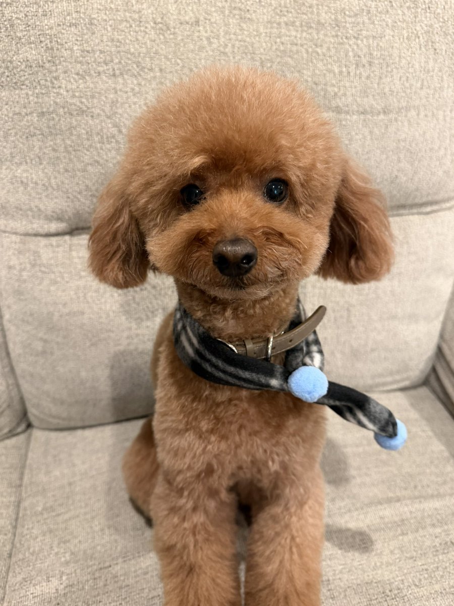 木津谷 泰勇 / KITSUYA TAIYU tweet media