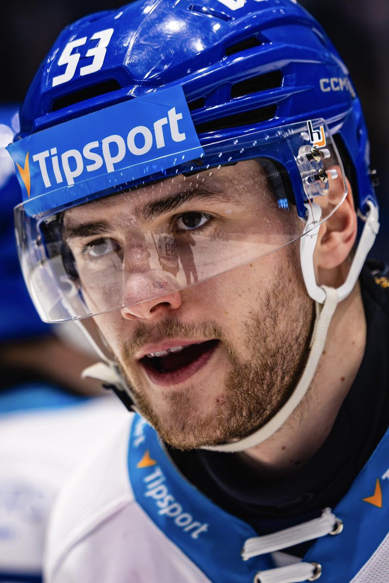 Rytíři Kladno tweet media