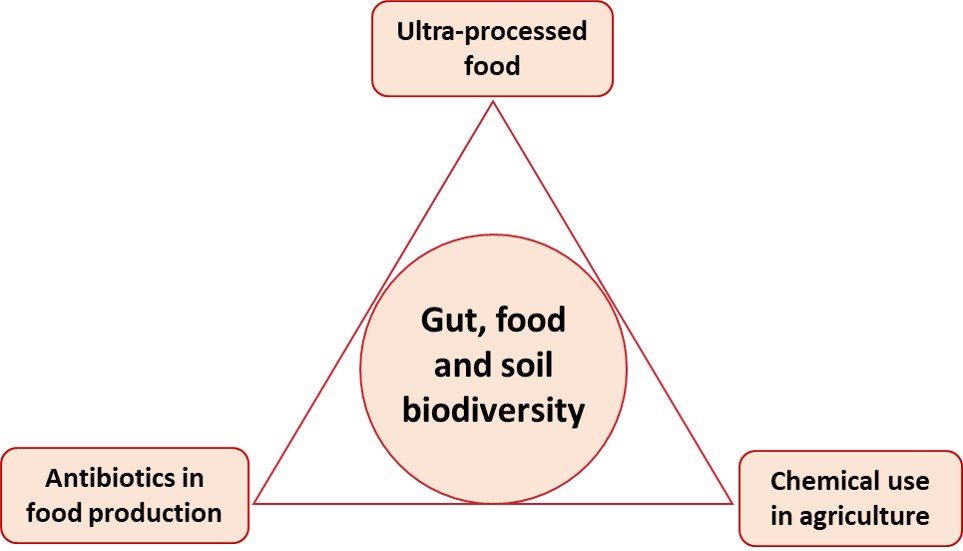 Down To Earth tweet media