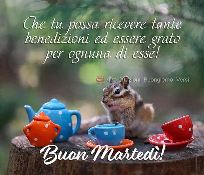 Anima🌹 tweet media