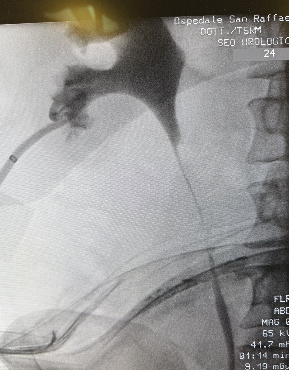 Guido Giusti tweet media