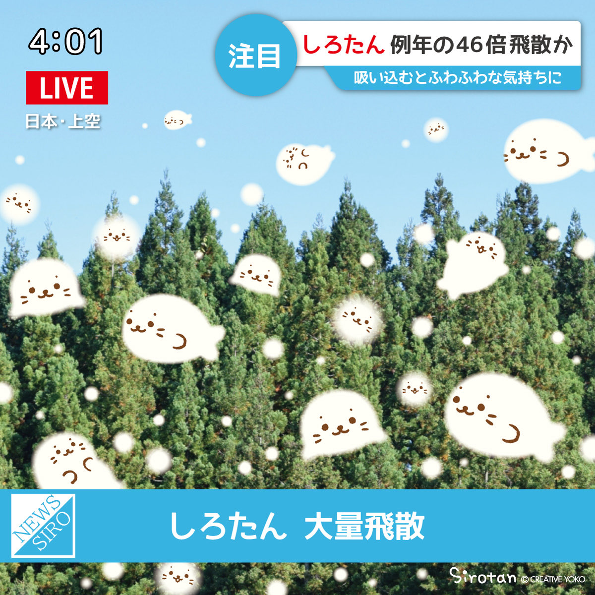 しろたんたん tweet media