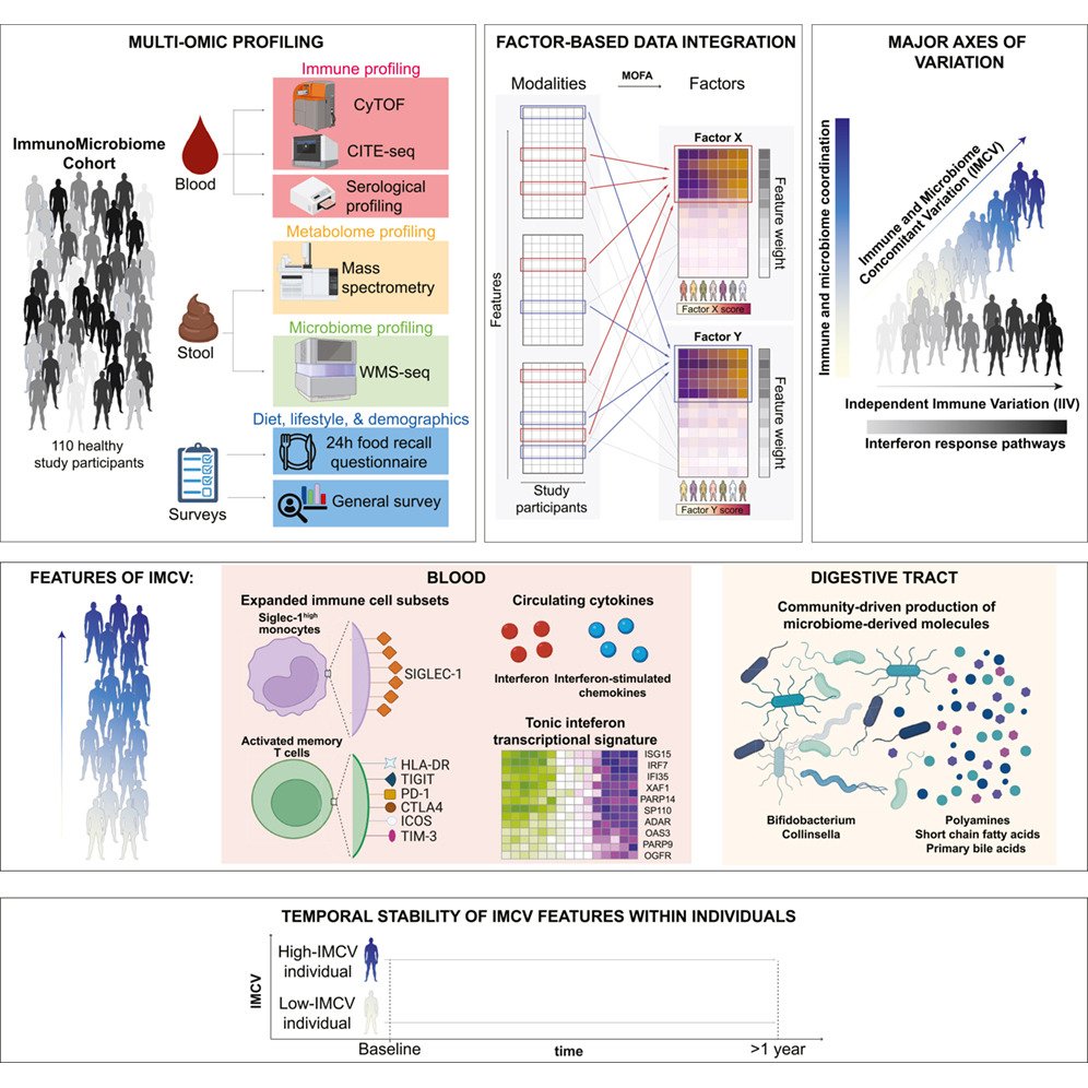 MicrobesInfect's tweet image. Immune-microbiome coordination defines interferon setpoints in healthy humans.

Gut #microbiome &amp;amp; immune traits co-vary in healthy people, with stable interferon responses shaping long-term individual differences.

sciencedirect.com/science/articl… #immunity #microbiota