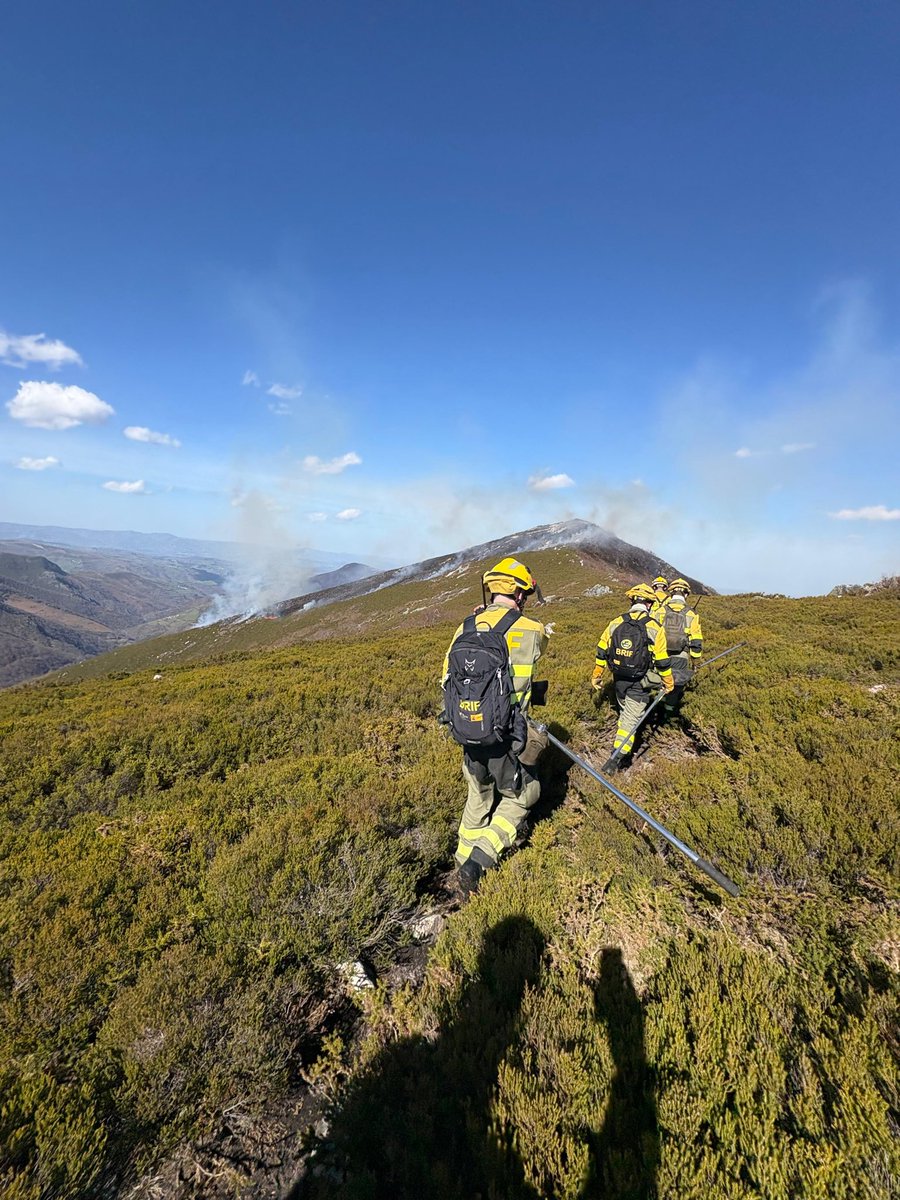 BRIF de Tineo tweet media