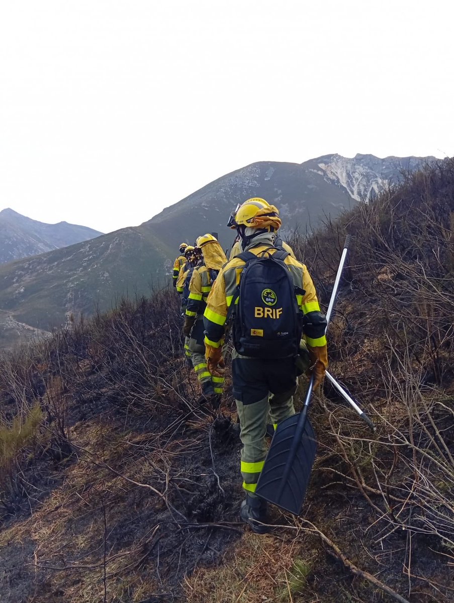 BRIF de Tineo tweet media